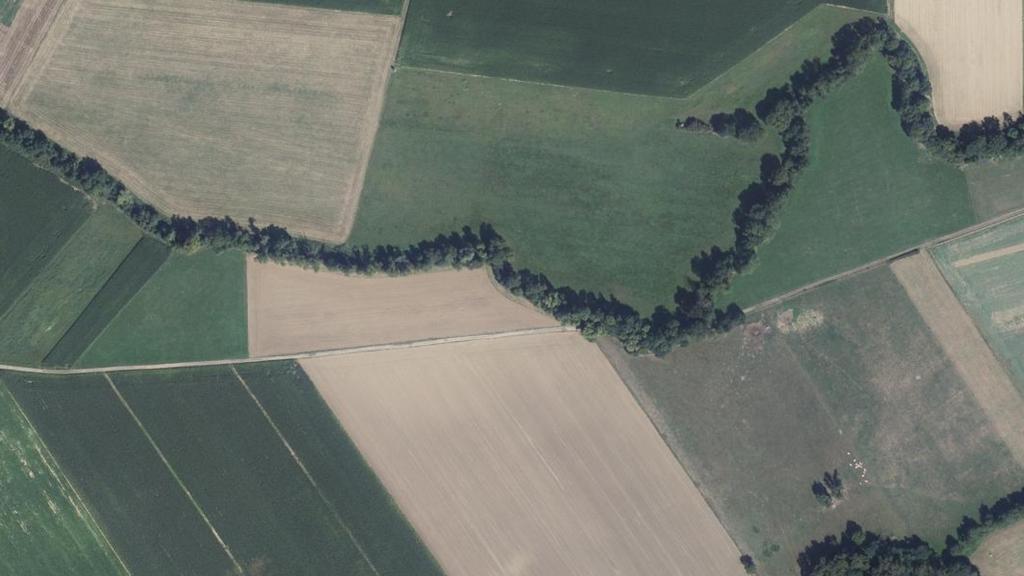 Baerenbach