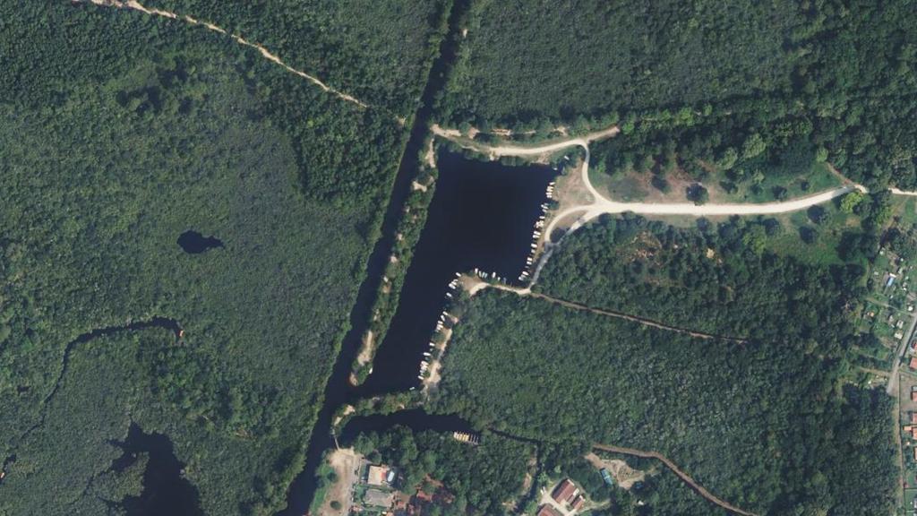 Bassin de Lily