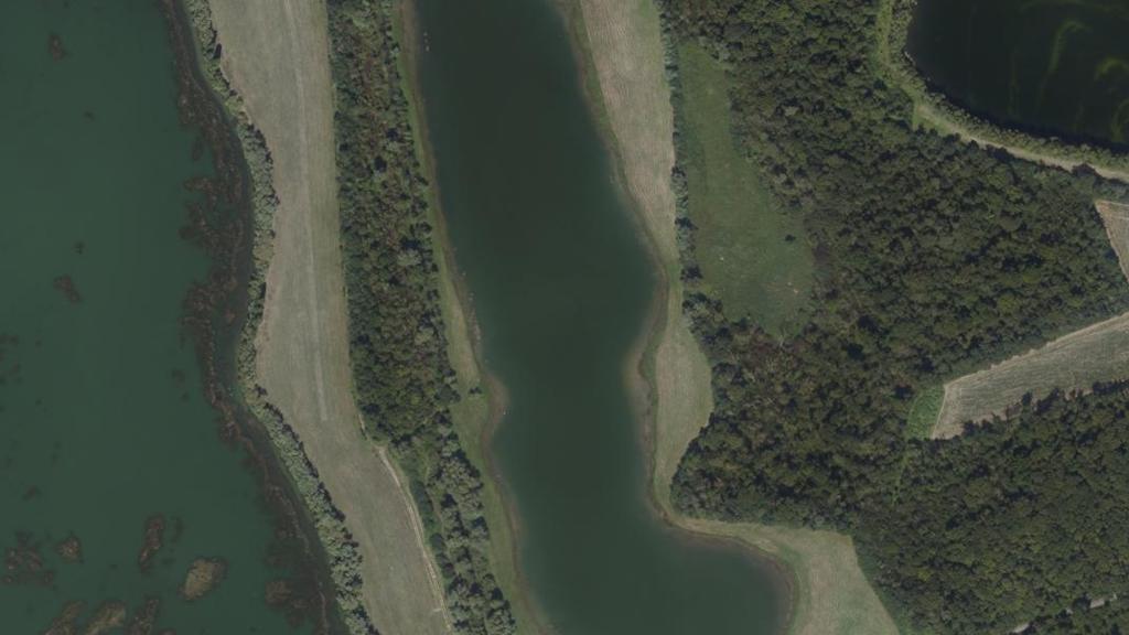 Bois de Chenevière