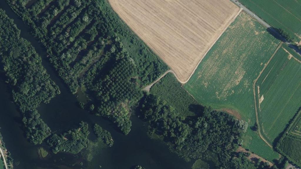 Étang de Bray sur Somme