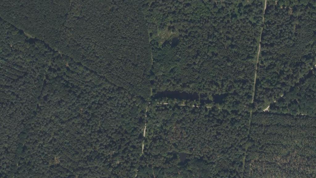 Étang de la Forêt de Koenigsbruck