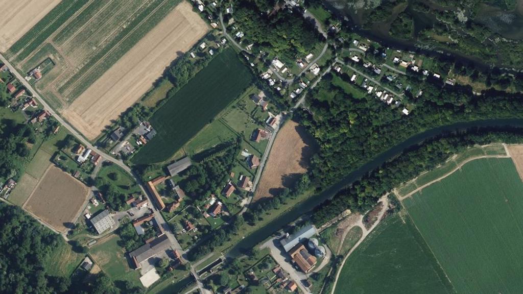 Étang de la Grenouillère (Frise)