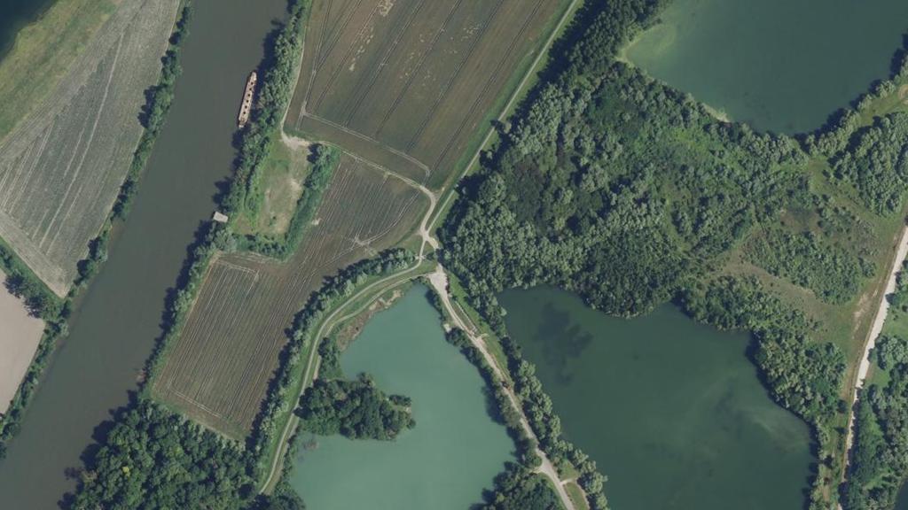 Étang de la Remise (K3)