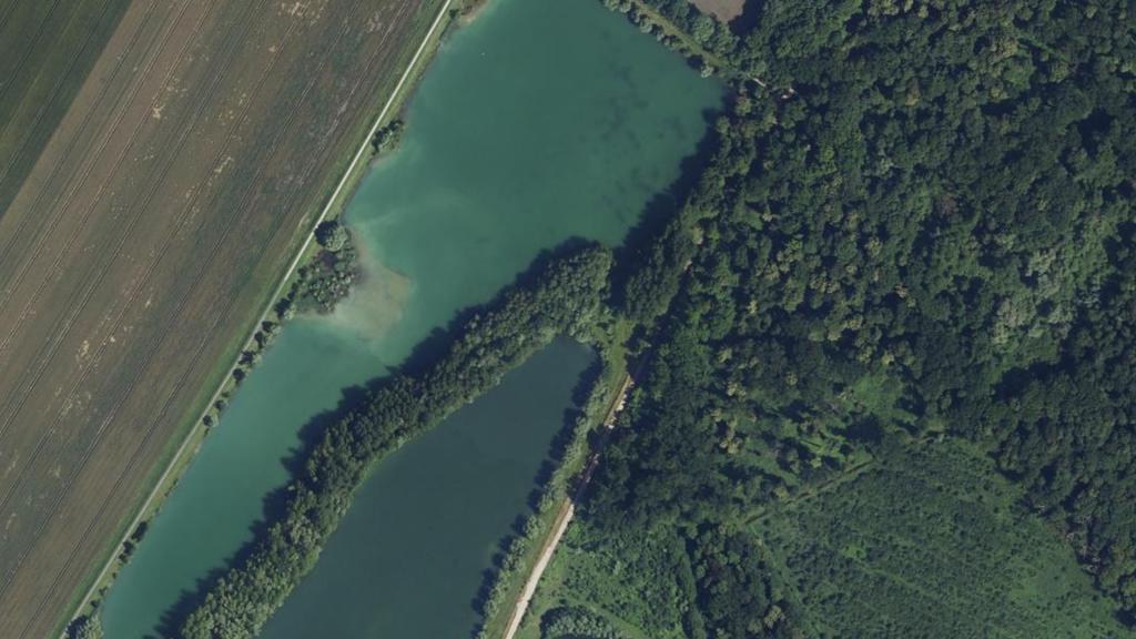 Étang de l'Herneuse (k2a)