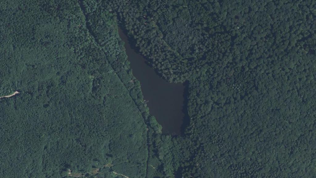 Vue aérienne de Étang de l'Homme Mort (Charmois-l'Orgueilleux)