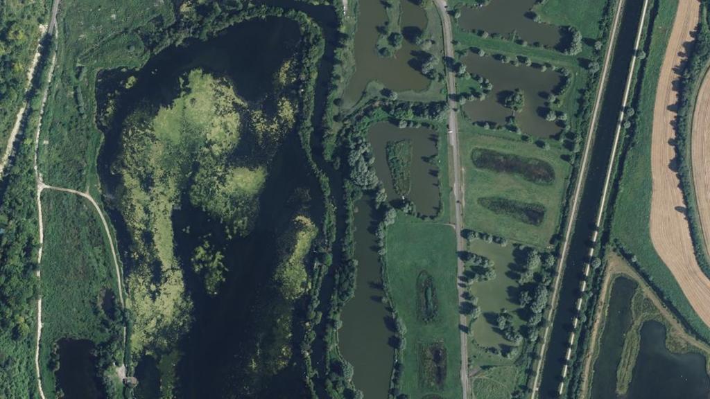 Étang de Méricourt sur Somme , Carpodrome