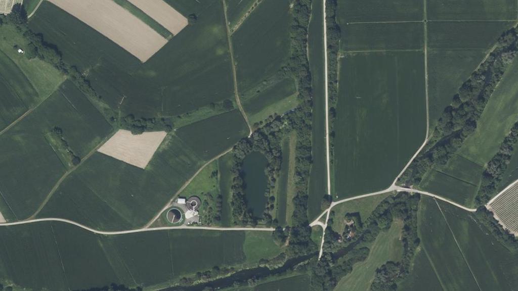 Étang de Rhinau