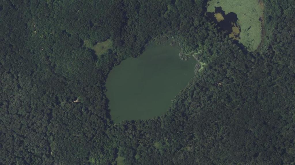 Vue aérienne de Étang de Saulière