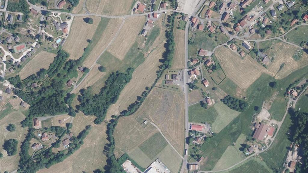 Étang des Bourguignons (Vosges)