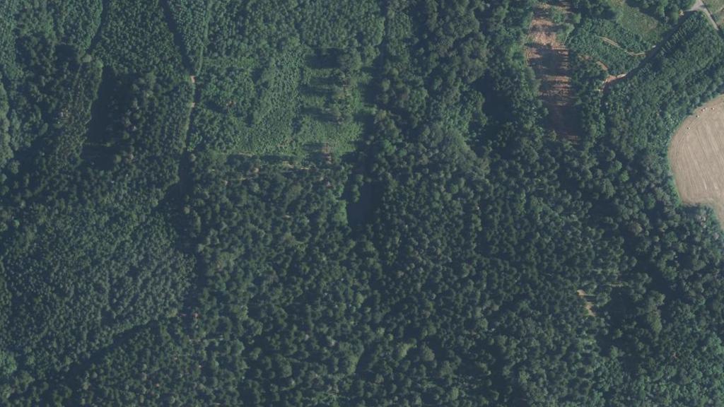 Vue aérienne de Étang des Chenaux