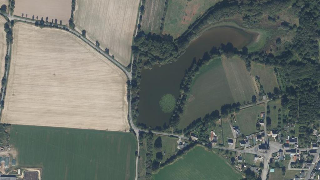 Étang des Landes (Ille-et-Vilaine)