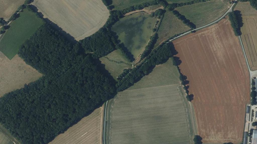 Étang des Renaudières, Espace Naturel Sensible, St Fulgent