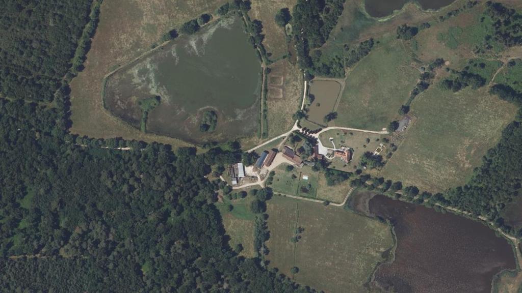 Étang des Vigneaux
