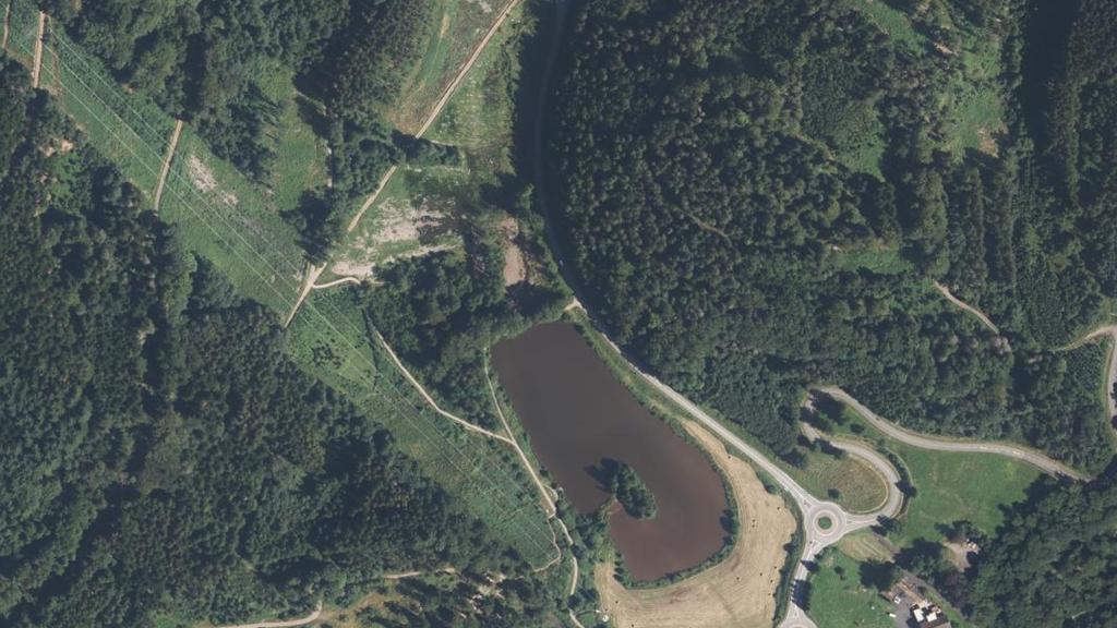 Étang du Col de Steige