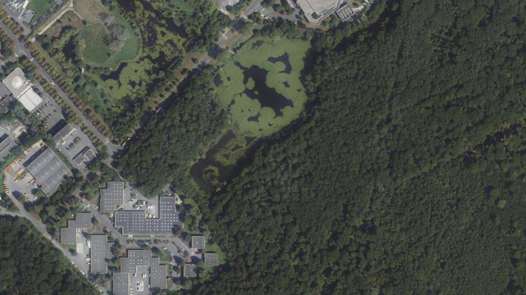 Vue aérienne de Étang du Grand Parc