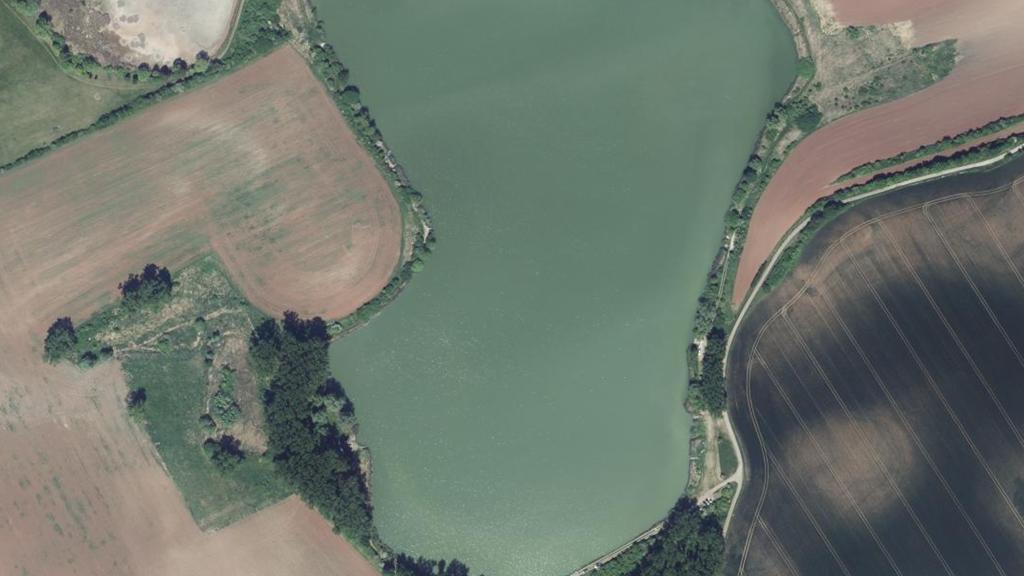 Étang du Moulin (Vergaville)