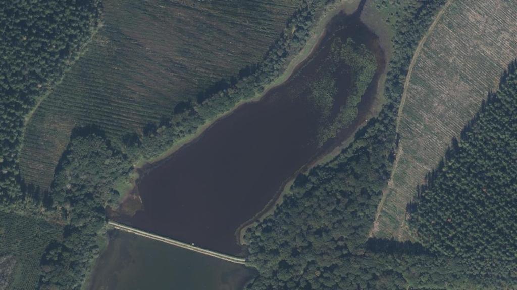 Étang du Pont au Marquis