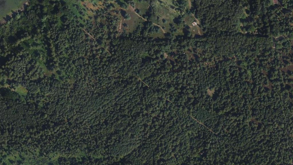 Vue aérienne de Étang du Rompu