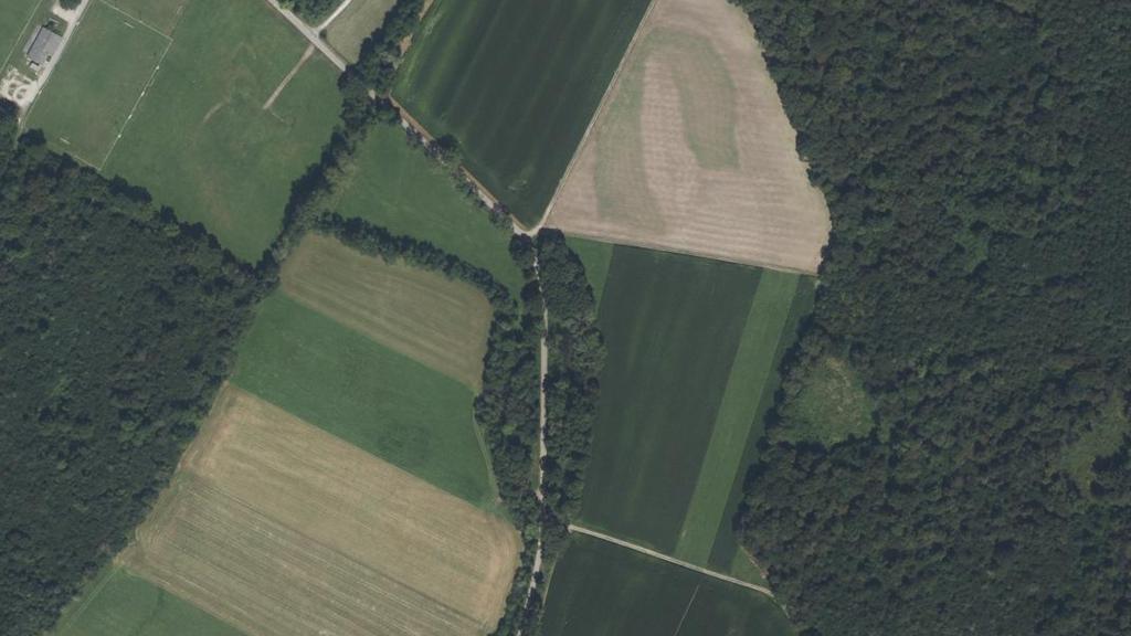 Étang Du Rustloch