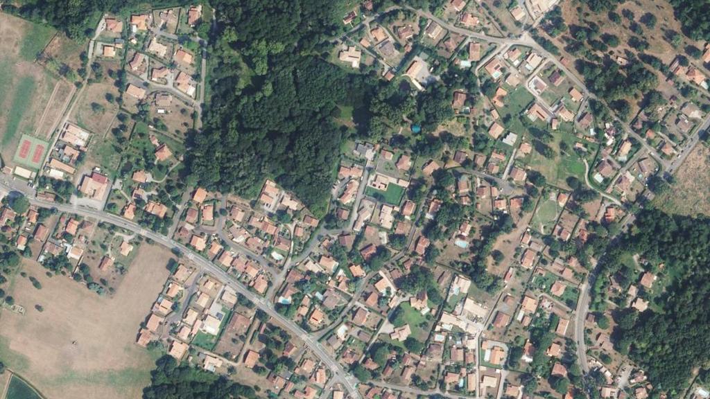 Étang du village sous les pins