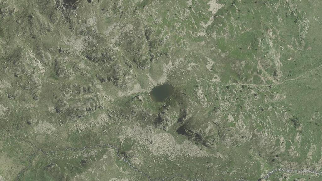 Étang Mort de Roumazet