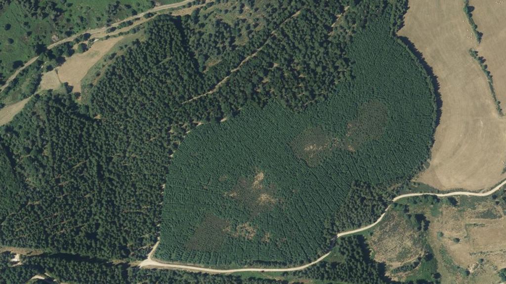 Vue aérienne des environs de Luc