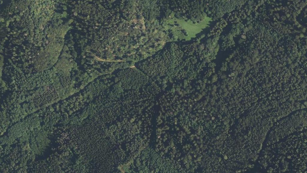 La Plaine (Vosges)