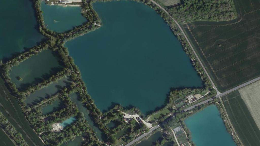 Lac Gigantica (Korda)