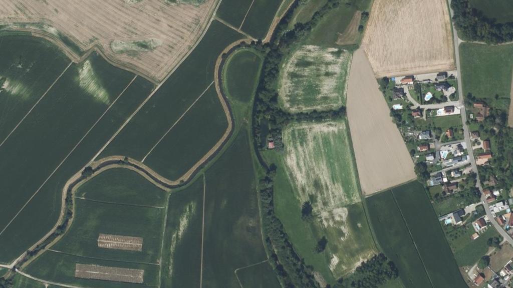 Le Muhlbach de Daubensand