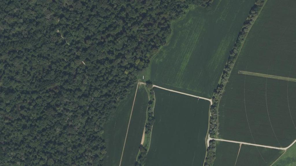 Le Pfossbach