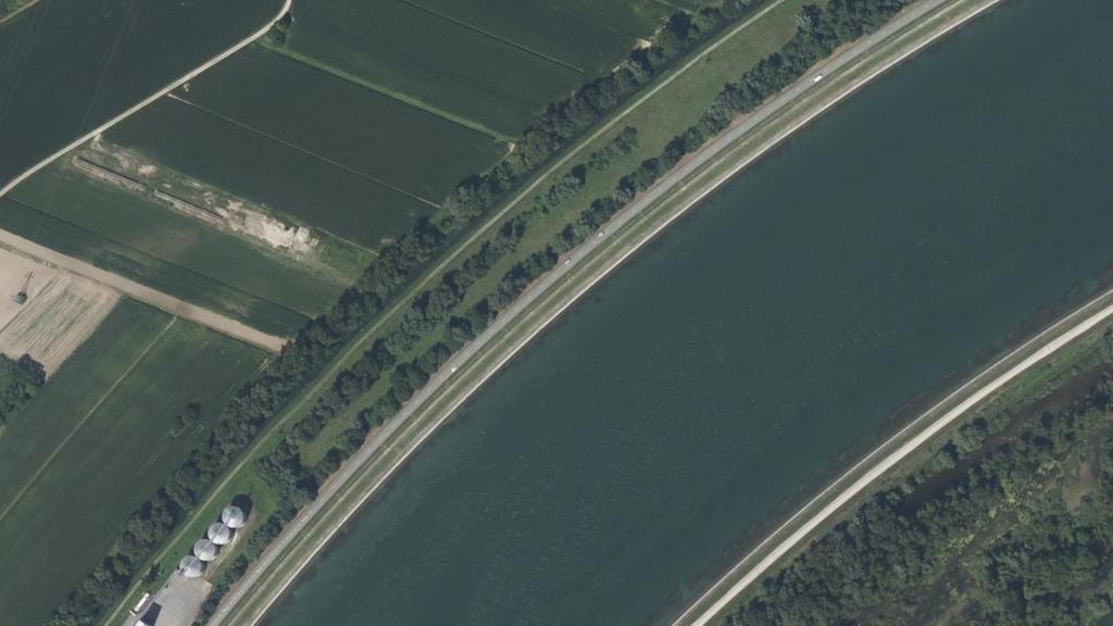 Le Rhin à Rhinau