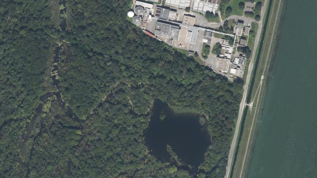 Le Sievert's Loch