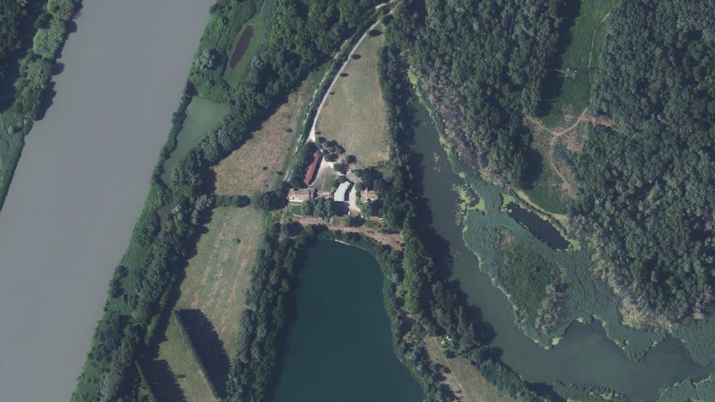 Lône de Lamiat