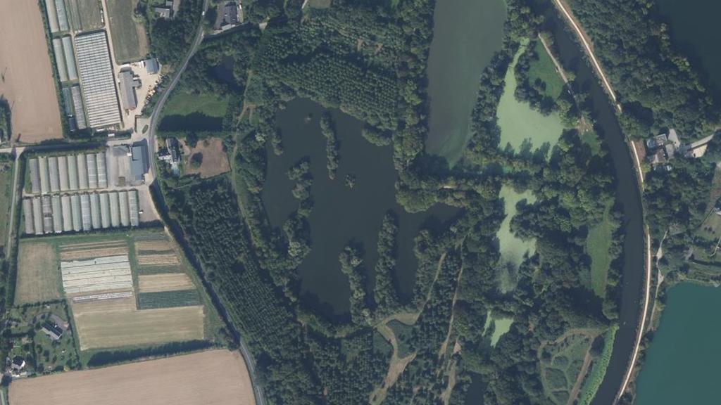 Parcours de graciation toutes espèces sur l'étang du petit Coutance