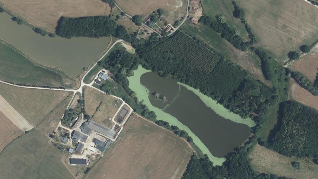 Plan d'Eau de Bridoré