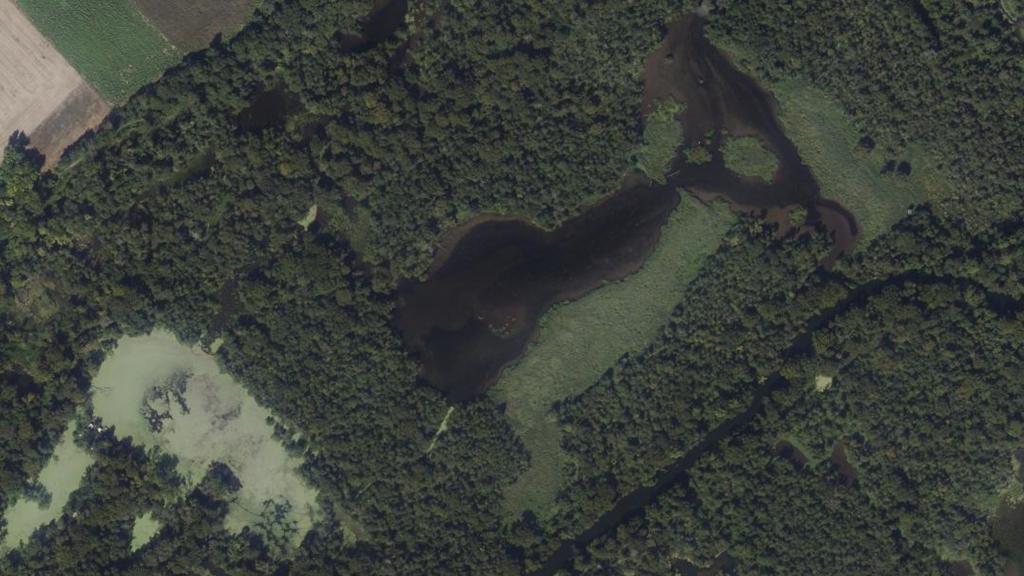 Plan d'Eau de la Commune de Vert-le-Petit