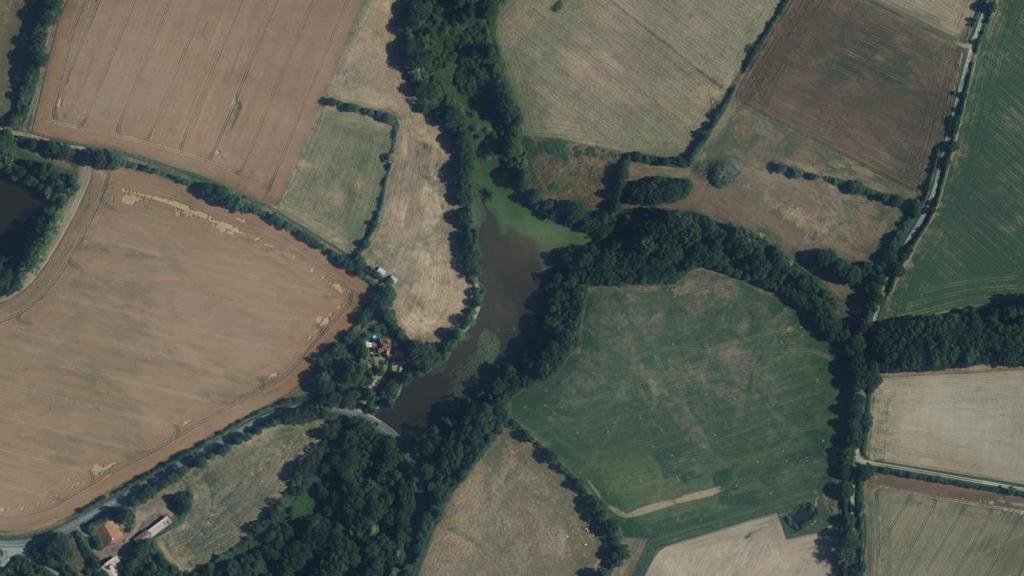 Plans d'Eau de la Bonniere (Mouchamps)