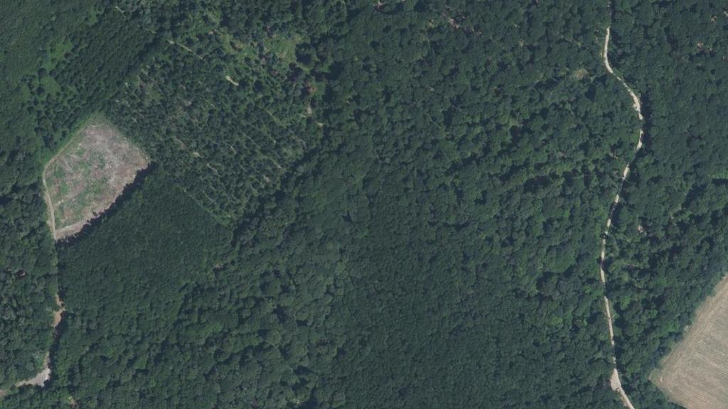 Vue aérienne de Ru de Bazoilles