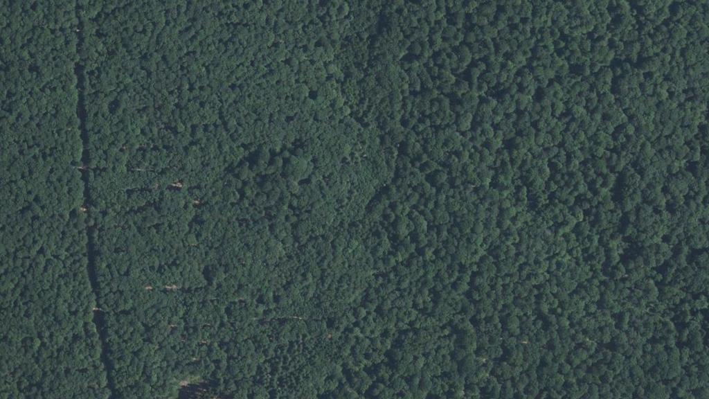 Vue aérienne des environs de Trémonzey