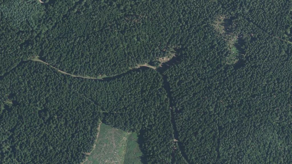 Vue aérienne de Ru de la Foret de Mortagne
