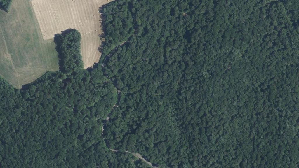 Vue aérienne des environs de Circourt