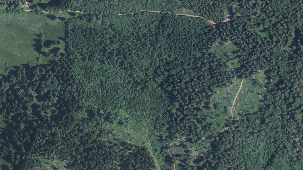 Vue aérienne de Rupt de Bamont