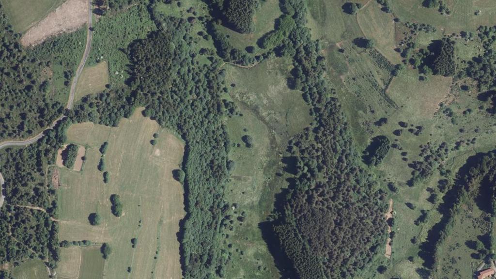 Vue aérienne de Taille légale
