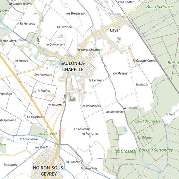 Plan cartographique de 61 bis - La Saulonnaise - Saulon-la-Chapelle