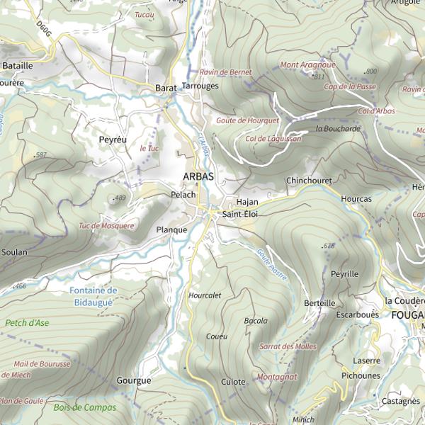 Plan cartographique de Arbas