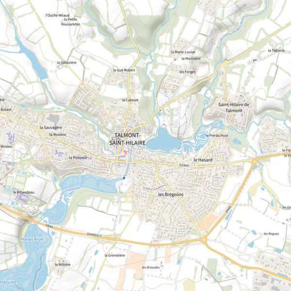 Plan cartographique de Bassodrome communal à Talmont St Hilaire : 4,7ha