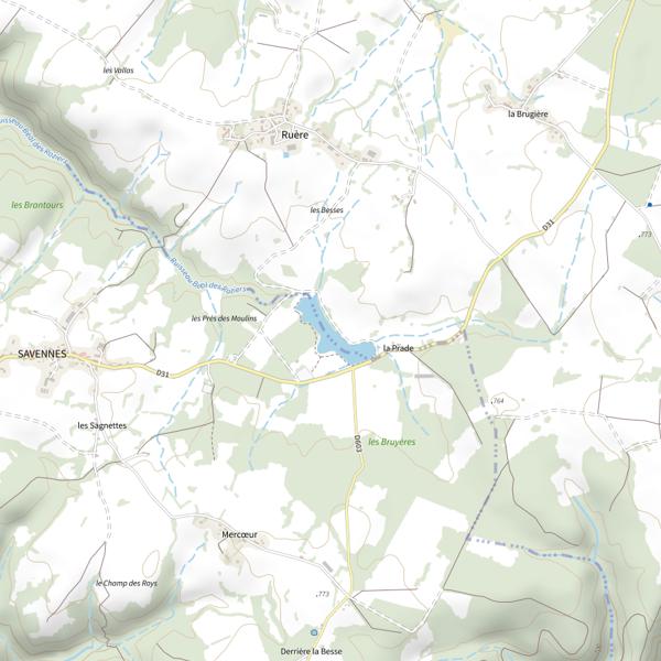 Plan cartographique de Beal des Roziers