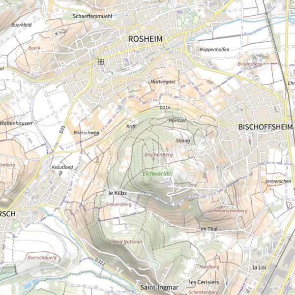 Plan cartographique de Bischenberg