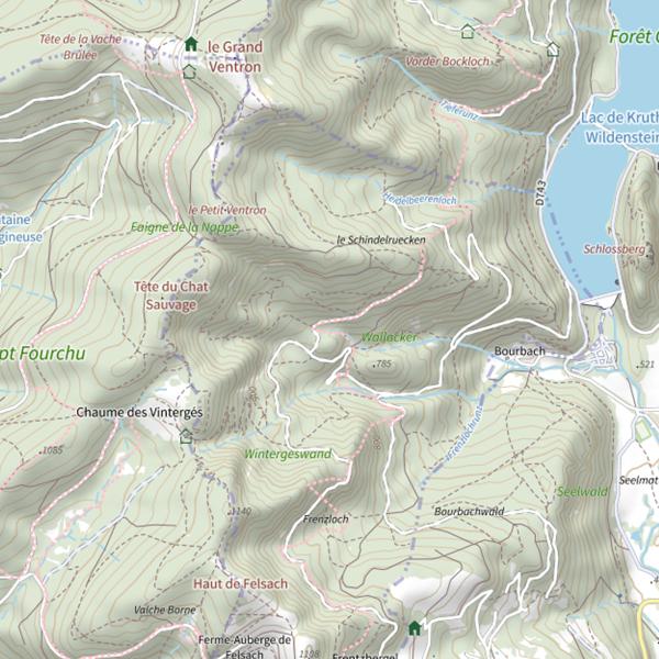 Plan cartographique de Bourbachrunz