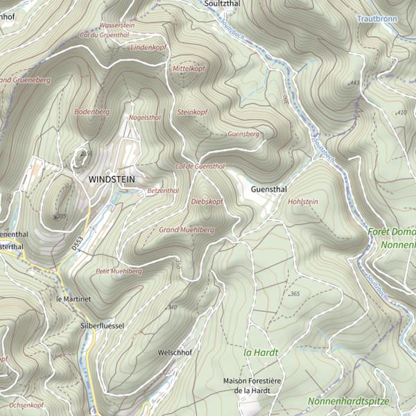Plan cartographique de Diebskopf